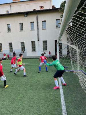IMG 0561