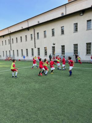 IMG 0562