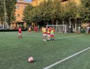 IMG 0649
